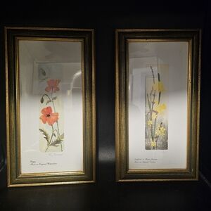 Unique Vintage Floral‎ Art Prints with Gold Frames